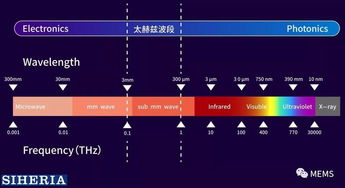 矽赫科技 以太赫茲底層技術為基，開拓智能光電新藍海